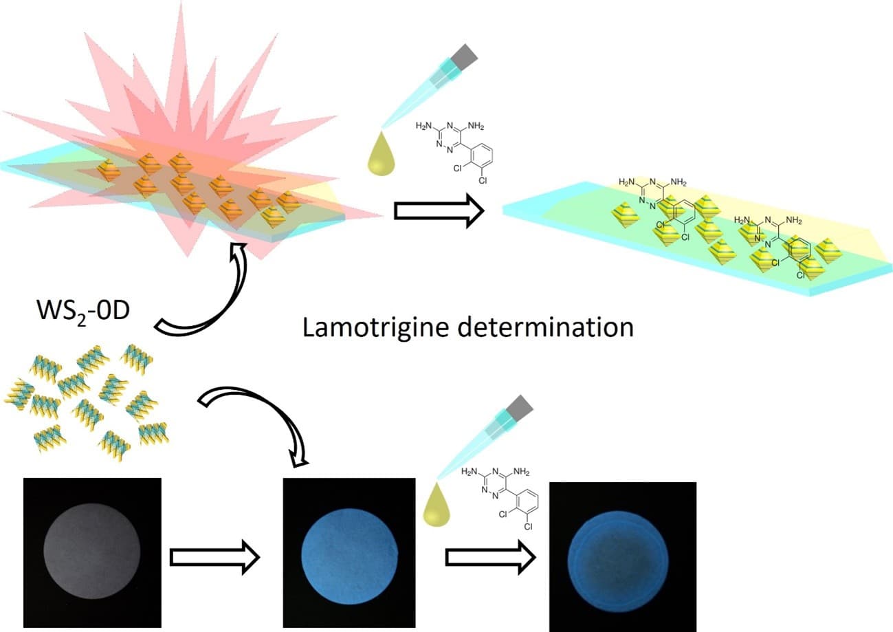 Optical Sensor Based on WS2 Quantum Dots for Lamotrigine Determination